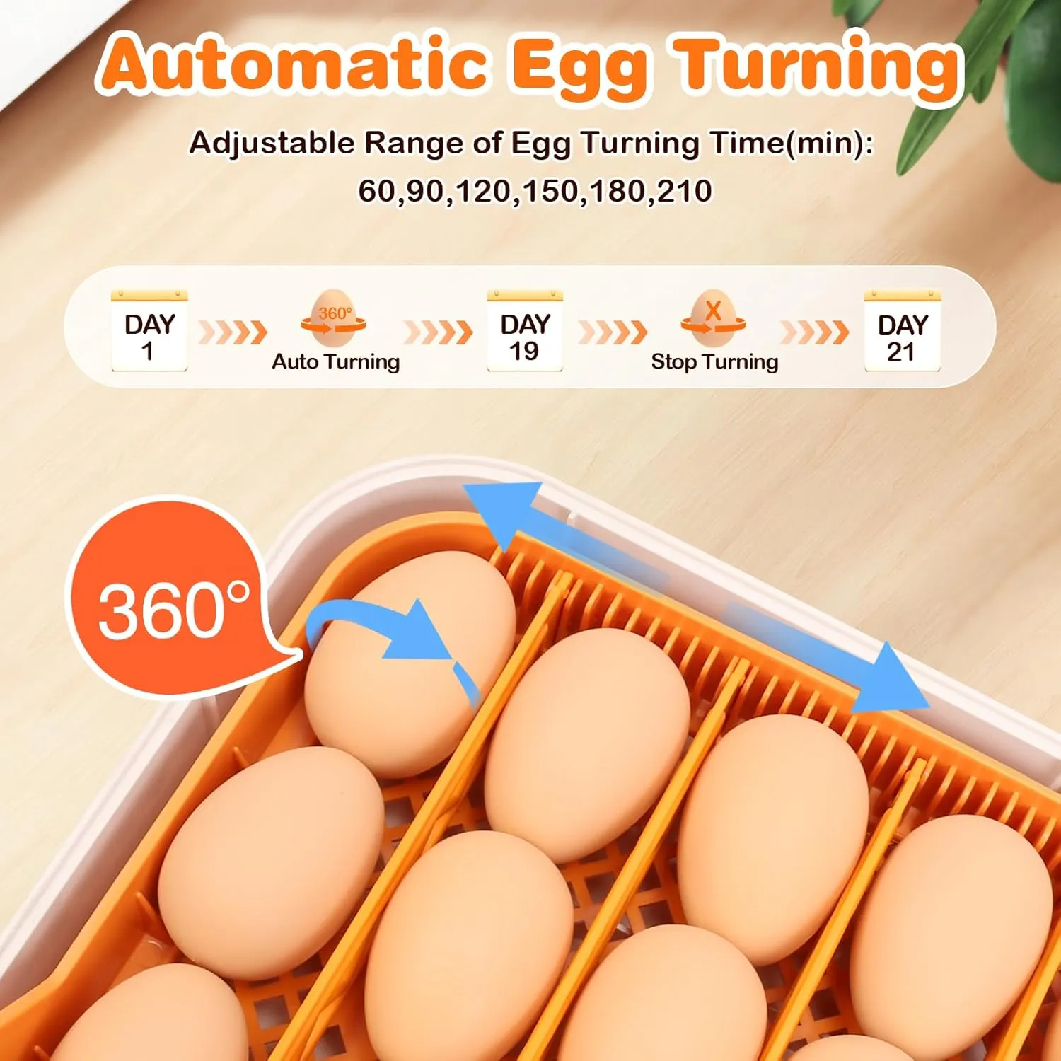 56 Egg Incubator for Hatching Eggs, Egg Incubators with Automatic Egg Turning, Temperature and Humidity Control, Egg Candler, Automatic Water Bottle Refill, Incubator for Chicken, Ducks, Goose