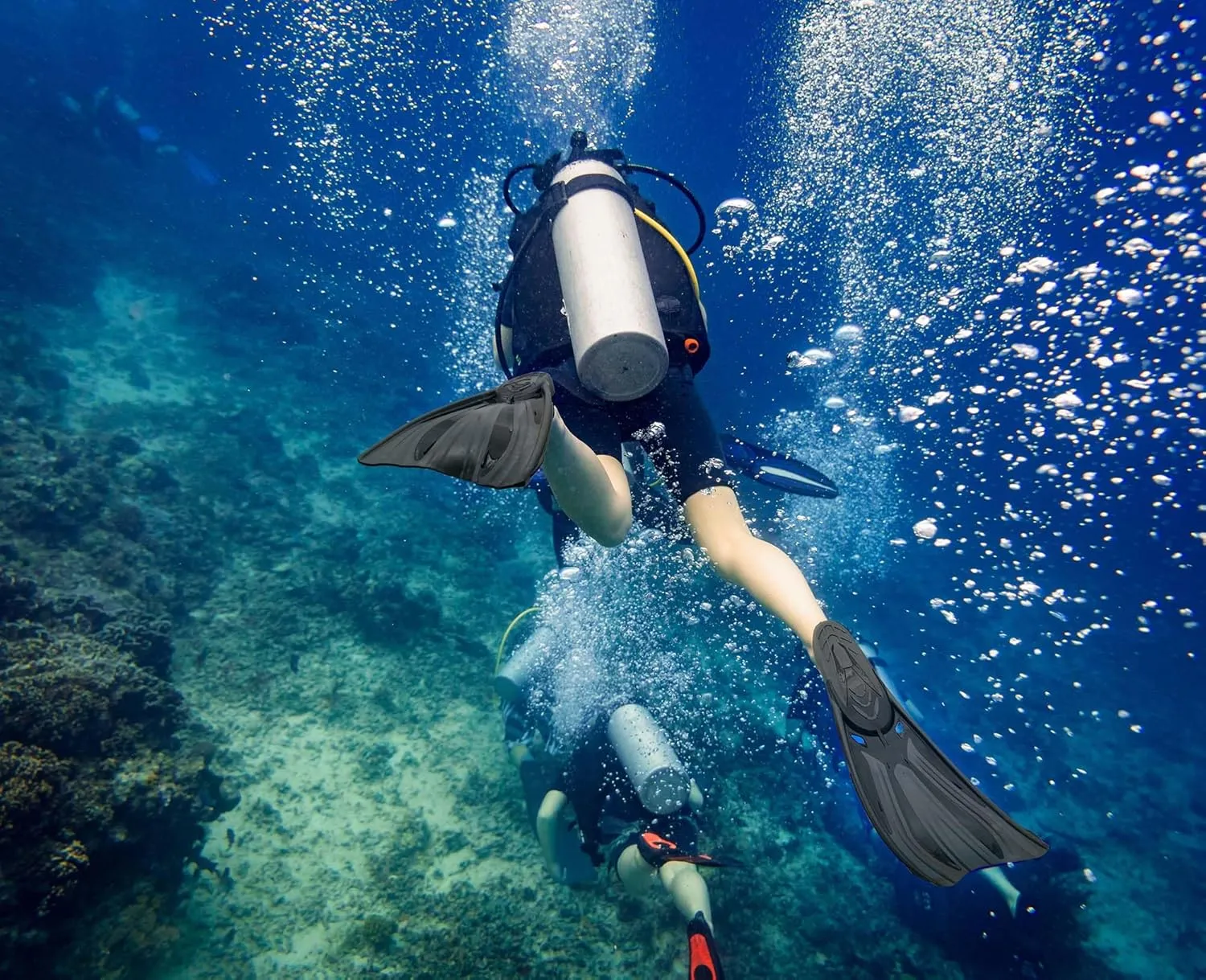 Adult Snorkel Fins - Men & Women's Long Scuba Diving Fins for Travel & Snorkeling