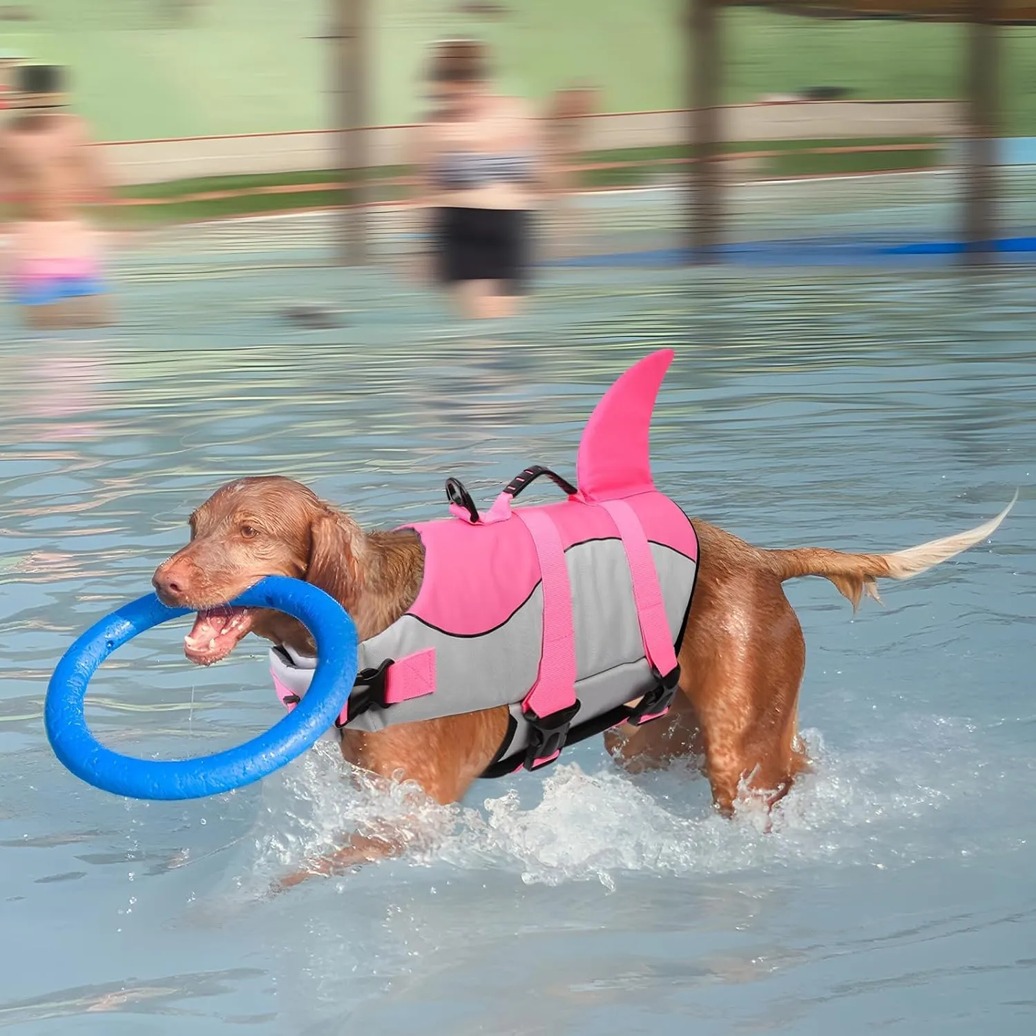 ASENKU Dog Life Jacket - Pet Safety Vest for Swimming & Boating, Shark Life Jacket with Floatation, Dog Lifesavers Swimsuits for Small Medium Large Dogs (Pink, L)