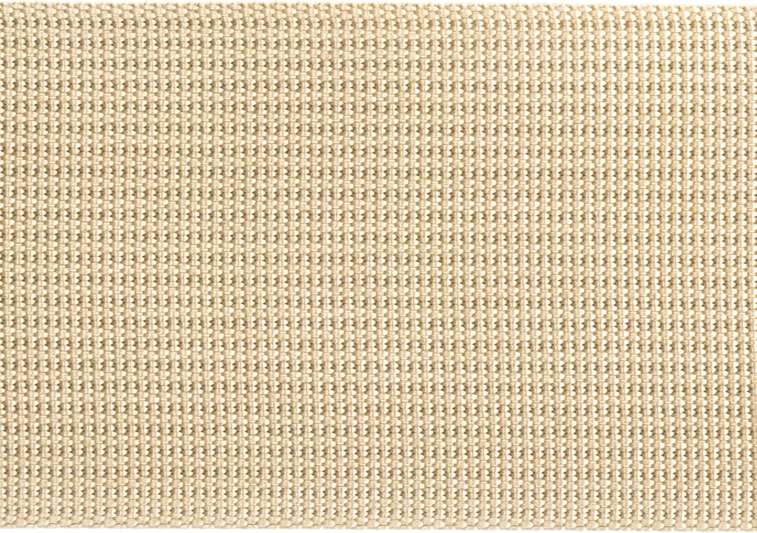 Country Brook Design Coyote Tan Lite Weight Nylon Webbing Closeout (2 Inch)