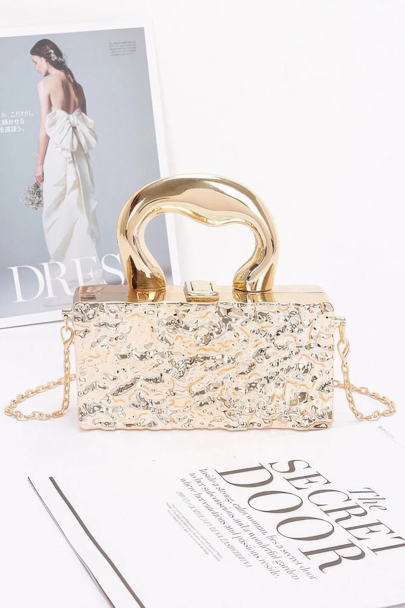FASHNZFAB Metallic Acrylic Bag