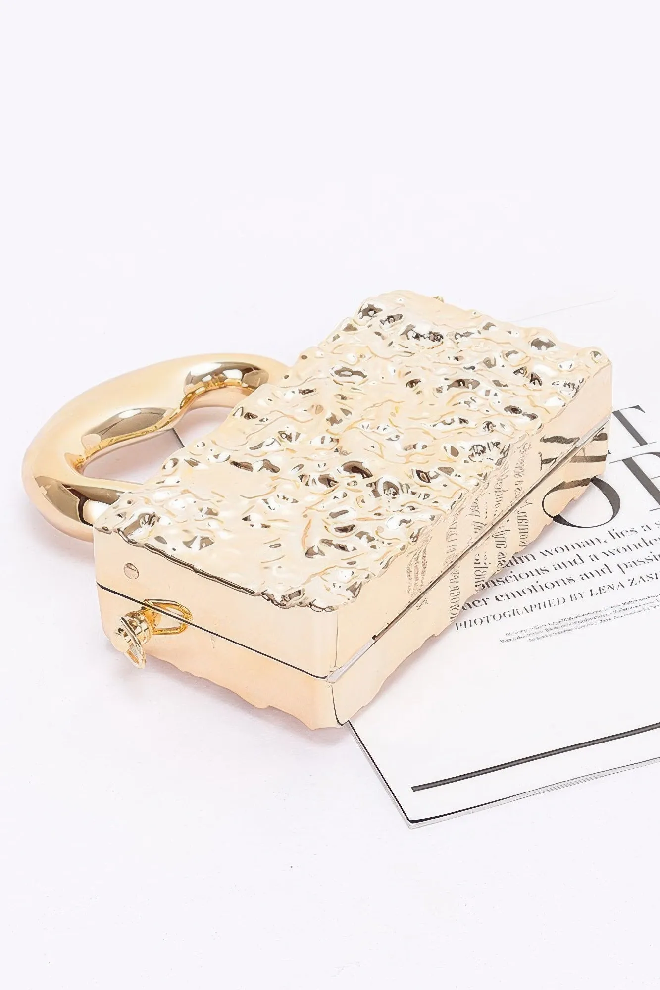 FASHNZFAB Metallic Acrylic Bag