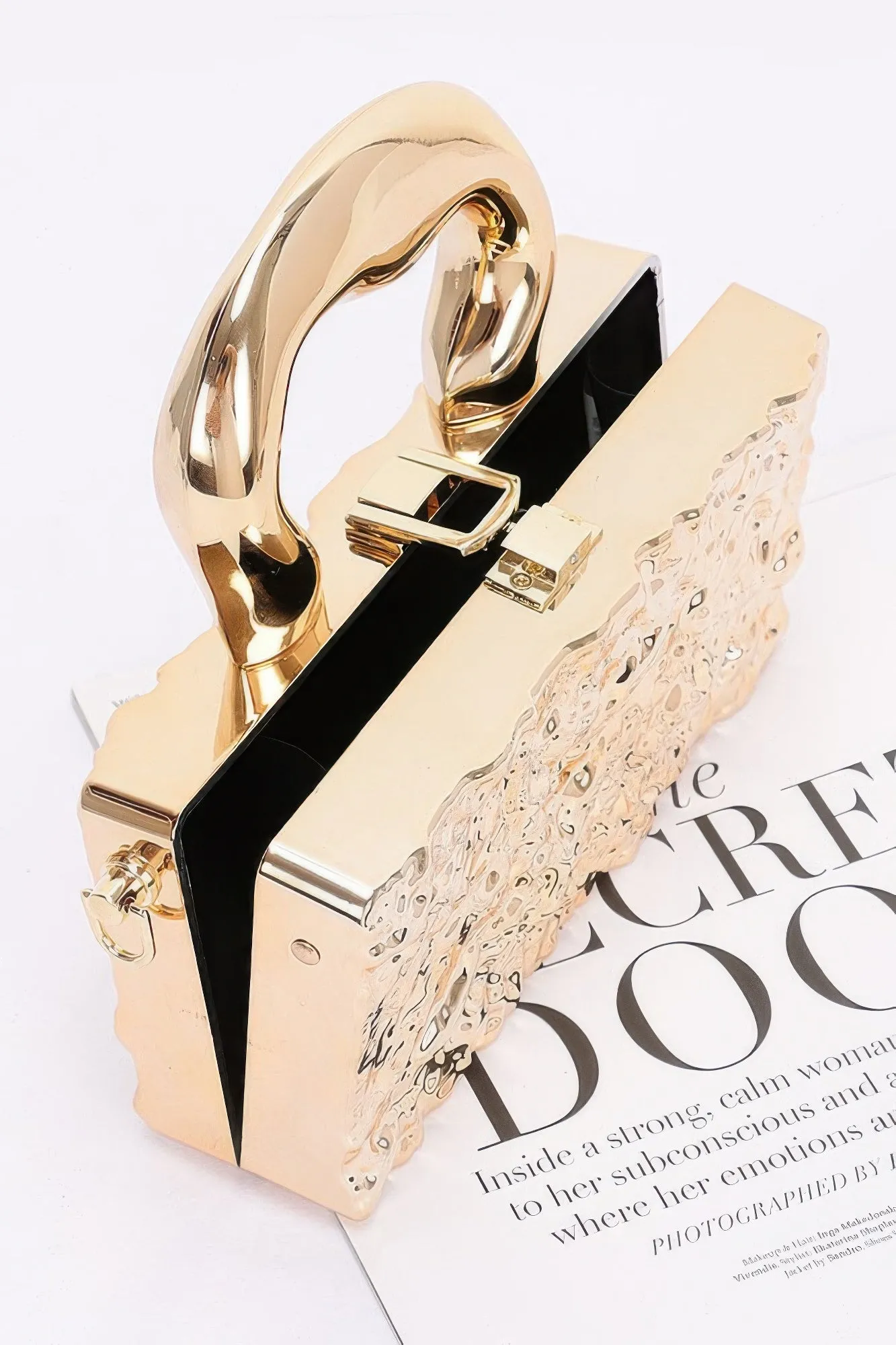 FASHNZFAB Metallic Acrylic Bag