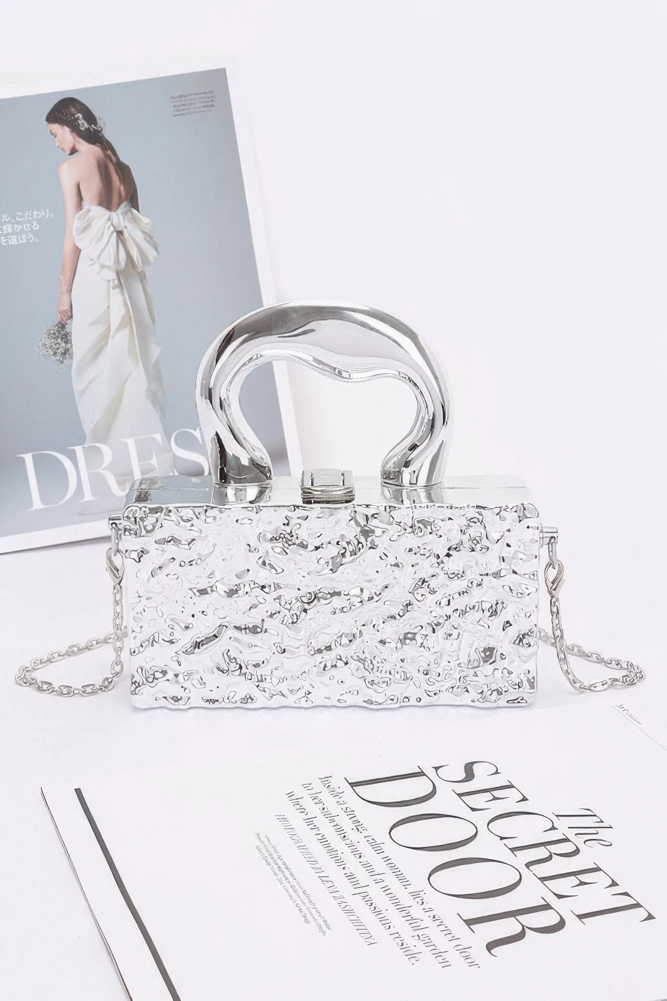 FASHNZFAB Metallic Acrylic Bag