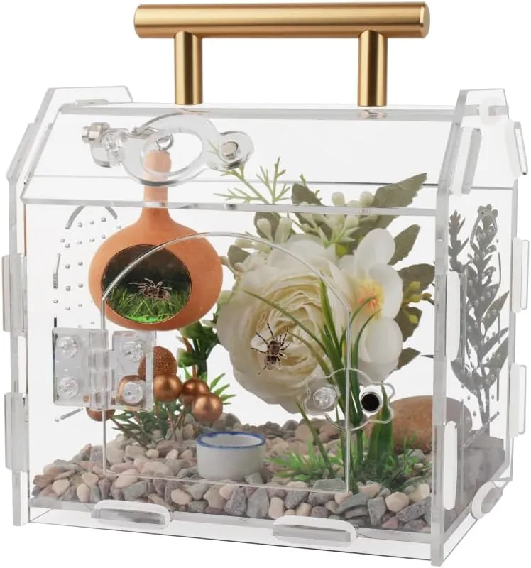 Jumping Spider Enclosure,Premium Acrylic Spider Enclosure - Ideal for Tarantulas, Reptiles, and Insects - Easy Assembly & Feeding - All-Round Transparent Terrarium