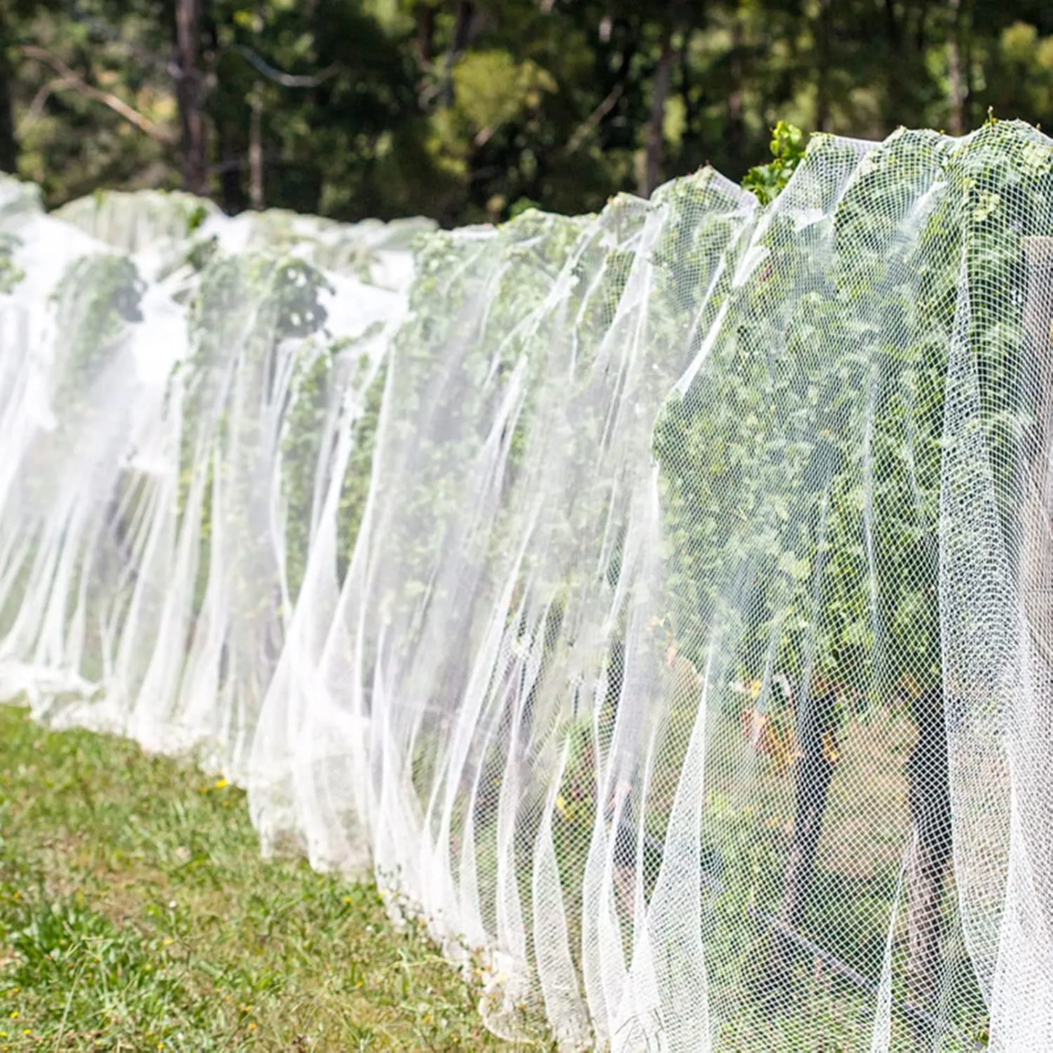 Unves 10'x20' Garden Netting, Mosquito Bird Netting Mesh for Vegetable Fruits Tree Protections, Plant Covers Insect Mesh Net Pest Barrier Protect Garden Plant from Birds Bugs